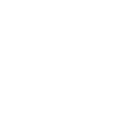 Fire & Flow Movement